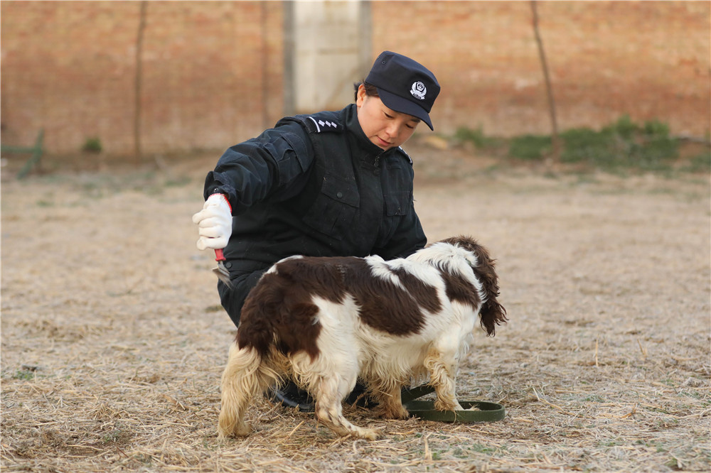 女警犬训导员图片