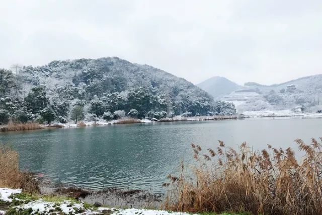 浦阳镇桃花源景区图片