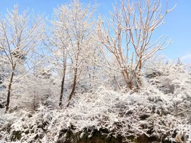 阳春三月,会泽下雪了!