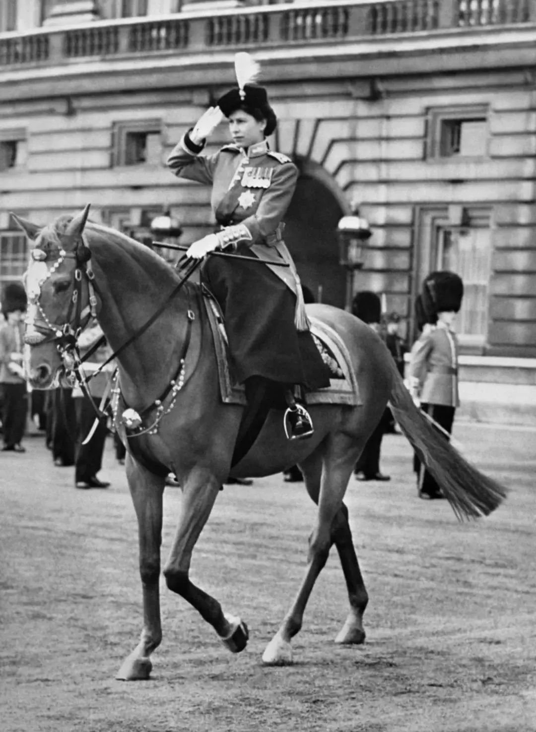 英国女王骑马图片