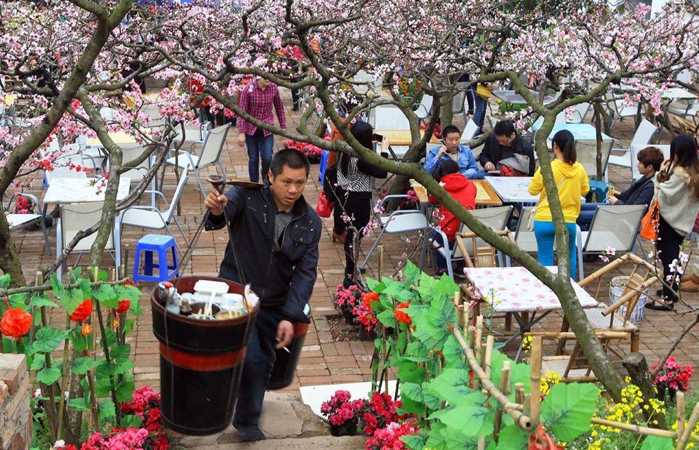 龙泉桃花节麻将图片