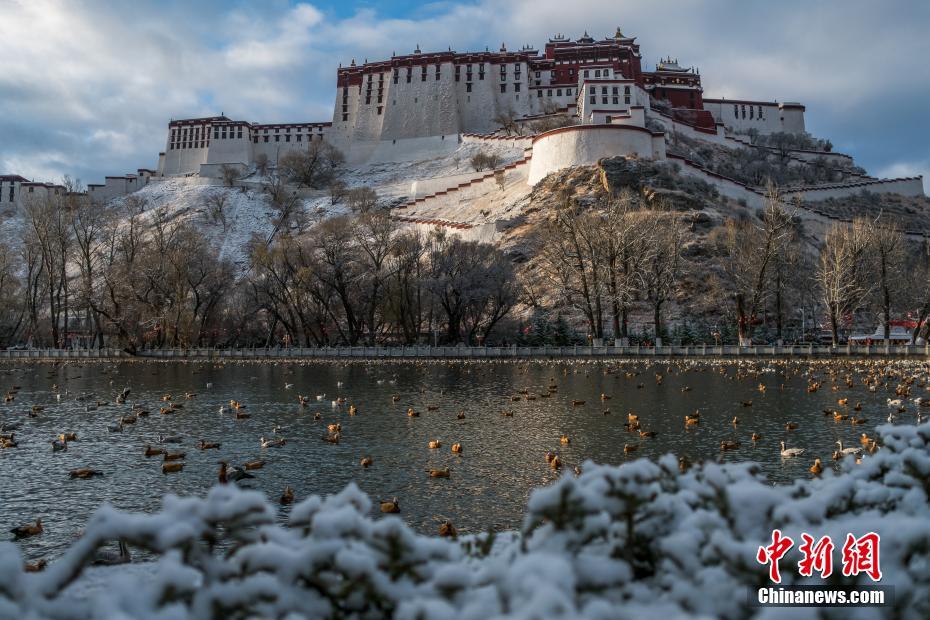 图为雪后的拉萨迎来日出.