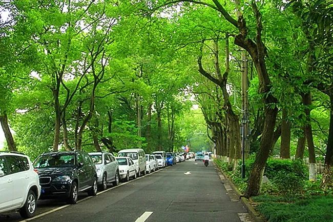 九山路夜幕降临,处处流光溢彩,风景优美,南塘街外面那条马路直且长