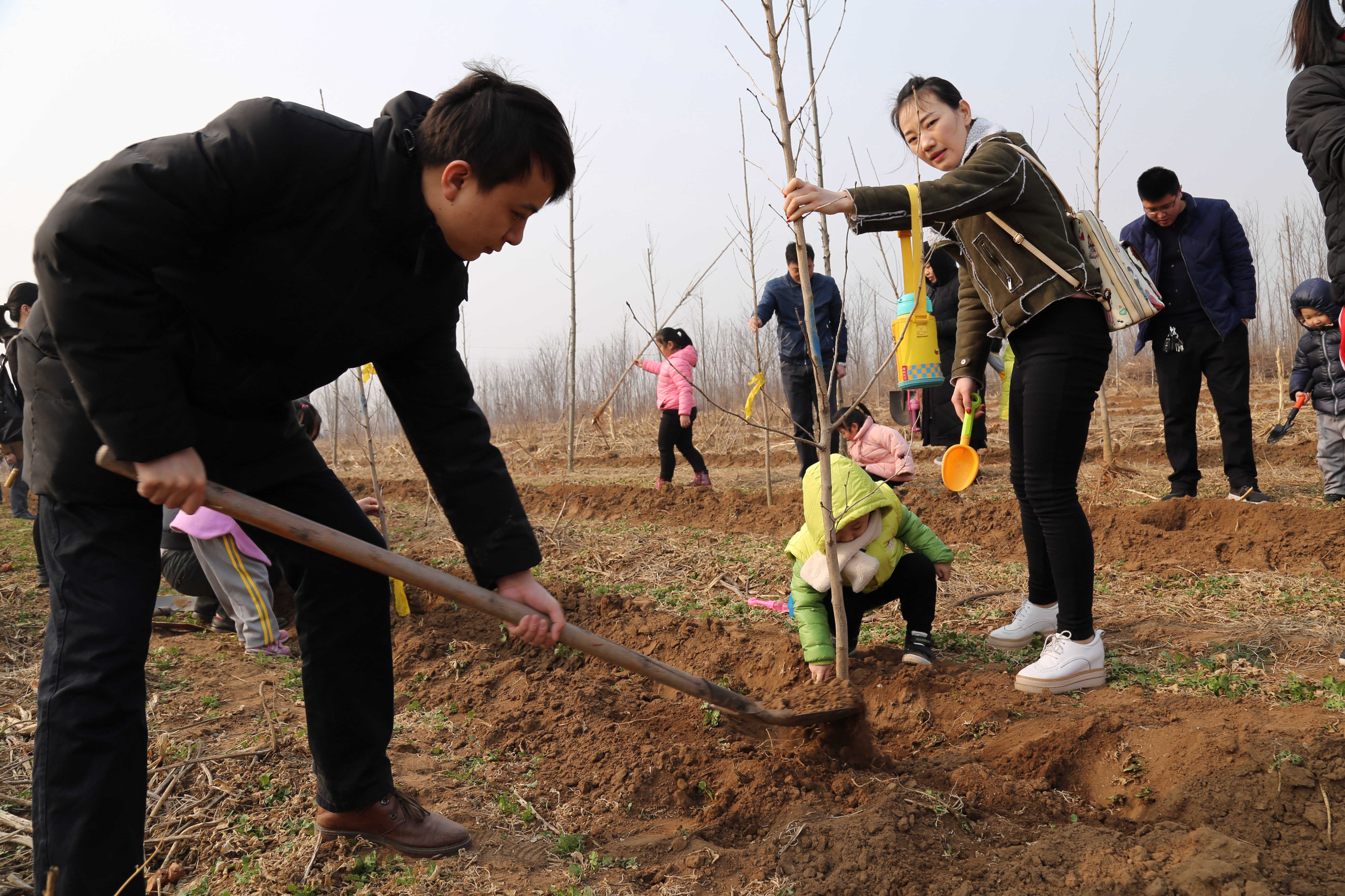 亲近自然绿我家园亲子植树节