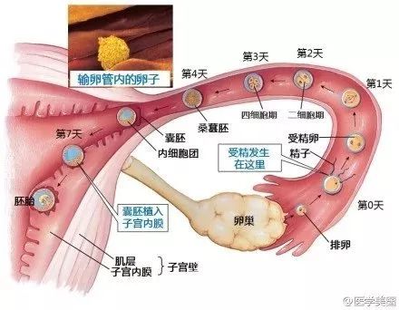 关于妇产科的45张震撼图片以后和老公吵架就给他看这个