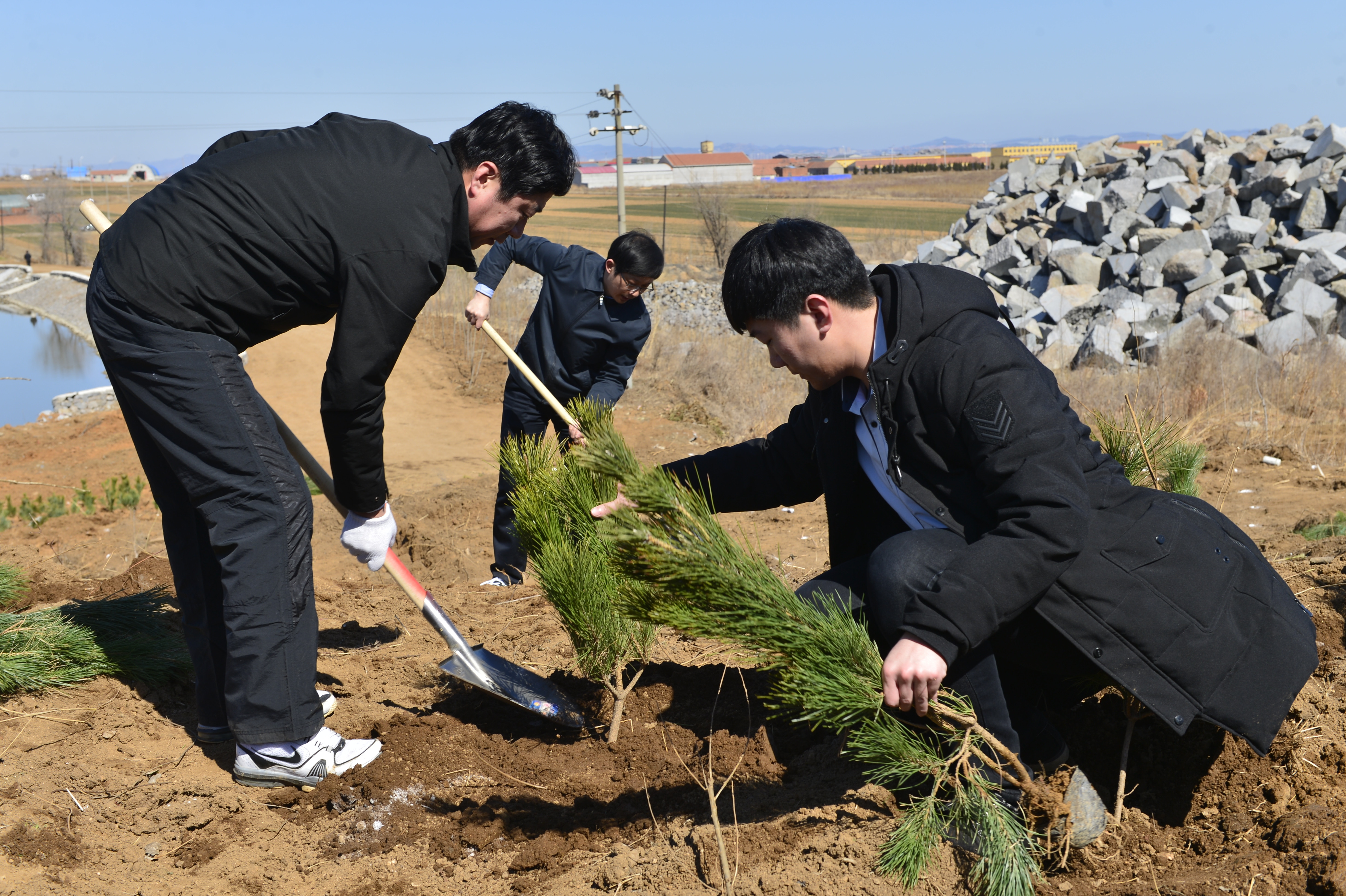 山東榮成石島管理區:啟動