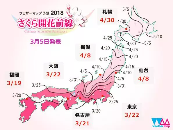 日本樱花季最强攻略 7个最佳观赏地一网打尽