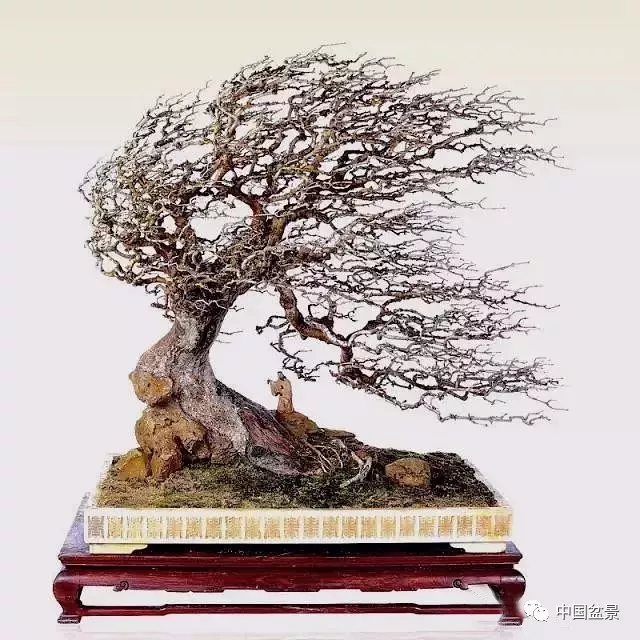 《情系西北》对节白蜡 贺淦荪作品