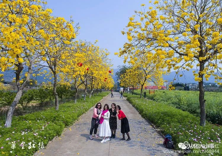 從化萬花園百花爭春,讓人