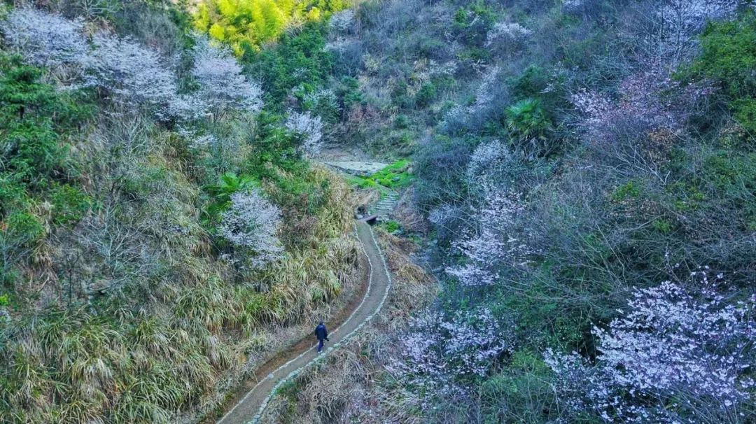 以石头或者土路为主