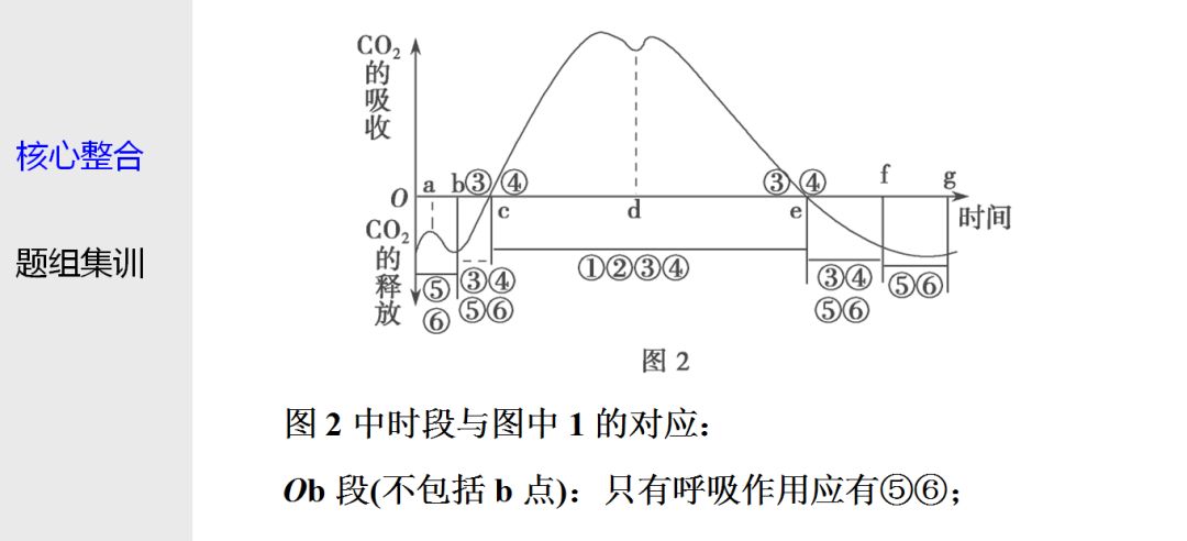 直击高考丨专题二 光合作用与细胞呼吸(2)考点解析!