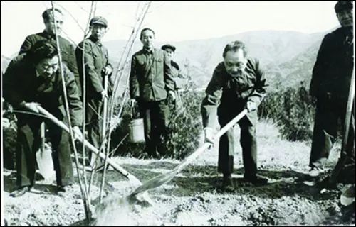 孙中山先生的倡议下,我国曾于1915年7月30日首次规定,每年清明为植树