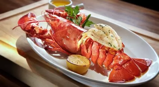 新英格蘭的 lobster roll