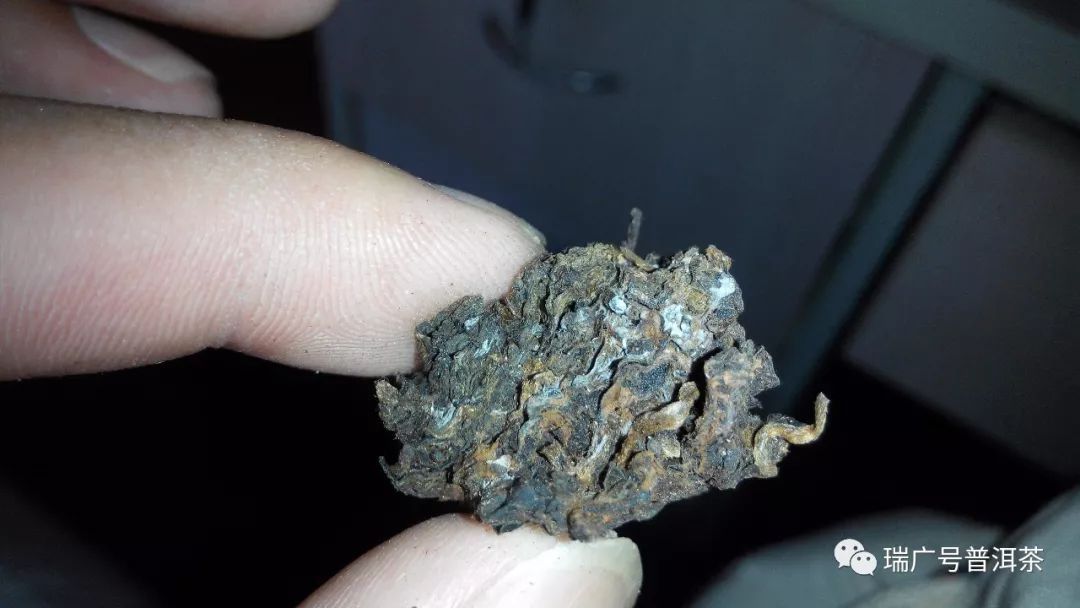 干货丨普洱茶表面的究竟是白霜还是霉变?