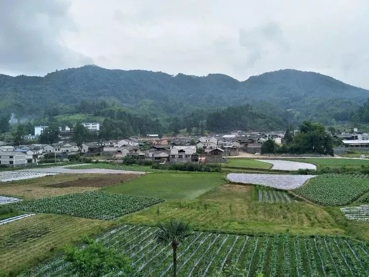 腾冲特色村落:边关古道——猴桥永兴