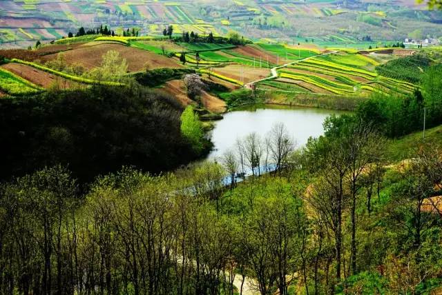 蓝田油菜花观赏地图片