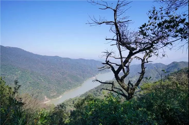 清遠飛霞山還藏著這樣的美景