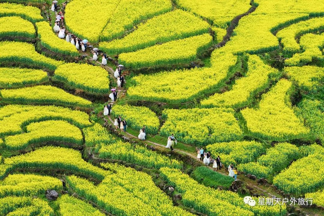 徒步休閒3月24花海梯田家朋皖南小沙漠徒步龍鬚山