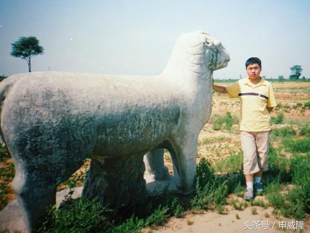 永康陵:唐太祖李虎的陵墓