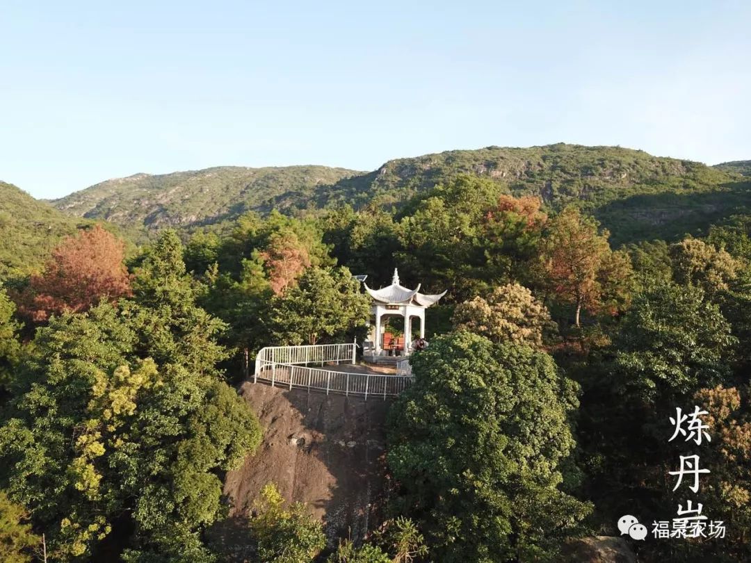 踏春哪兒好陶山福泉很玄妙