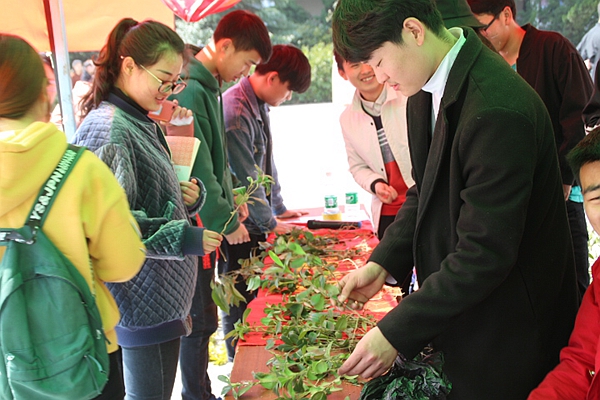 綠植領養活動主要是傳遞一種熱愛綠色,熱愛花草樹木的理念.