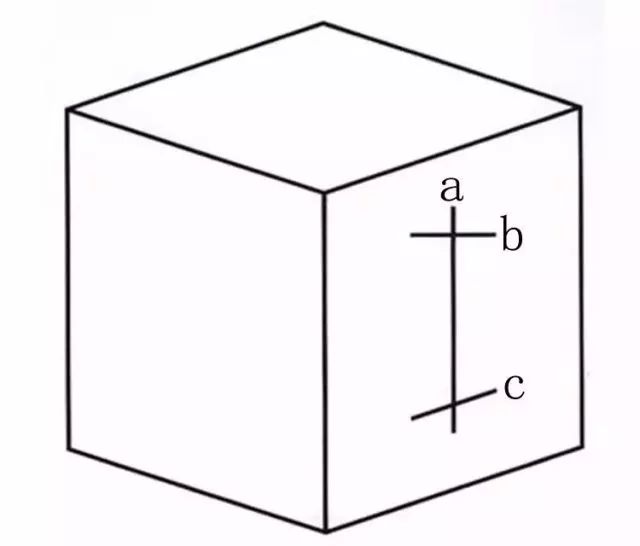 視錯覺世界別樣的認知語言學