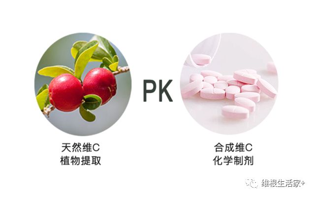 德國人最愛的針葉櫻桃果粉幫你擺脫維c缺乏症