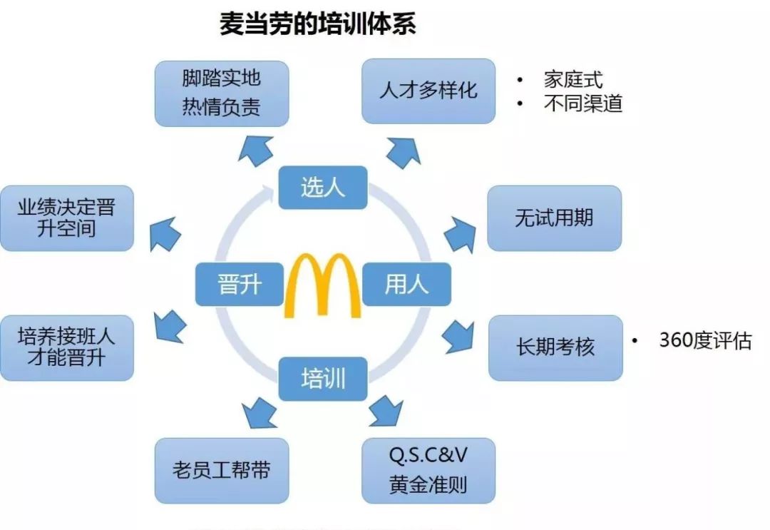 麦当劳企业组织结构图图片