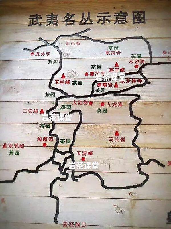 武夷山茶叶地图图片