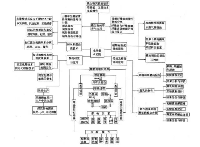 生物技術實踐生物環境的保護生態系統及其穩定性種群和群落植物的激素