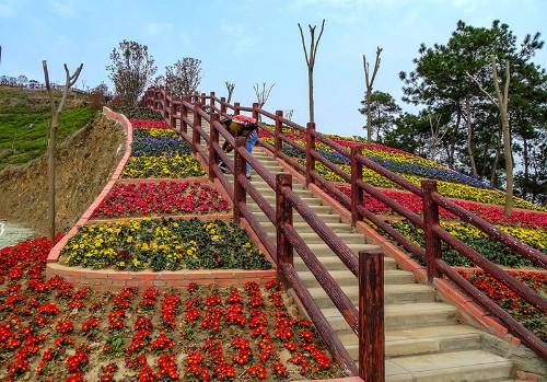 邻水石滓四季花海图片