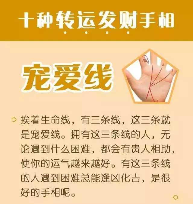 宠爱线手相准确位置图片