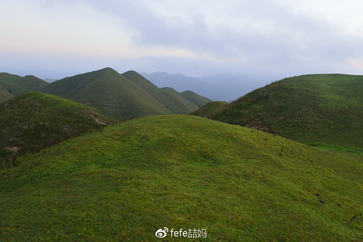 親近大自然:邵陽城步南山牧場