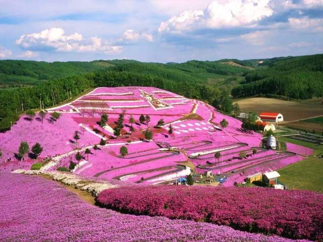 华海保险公司正规吗 花海车险