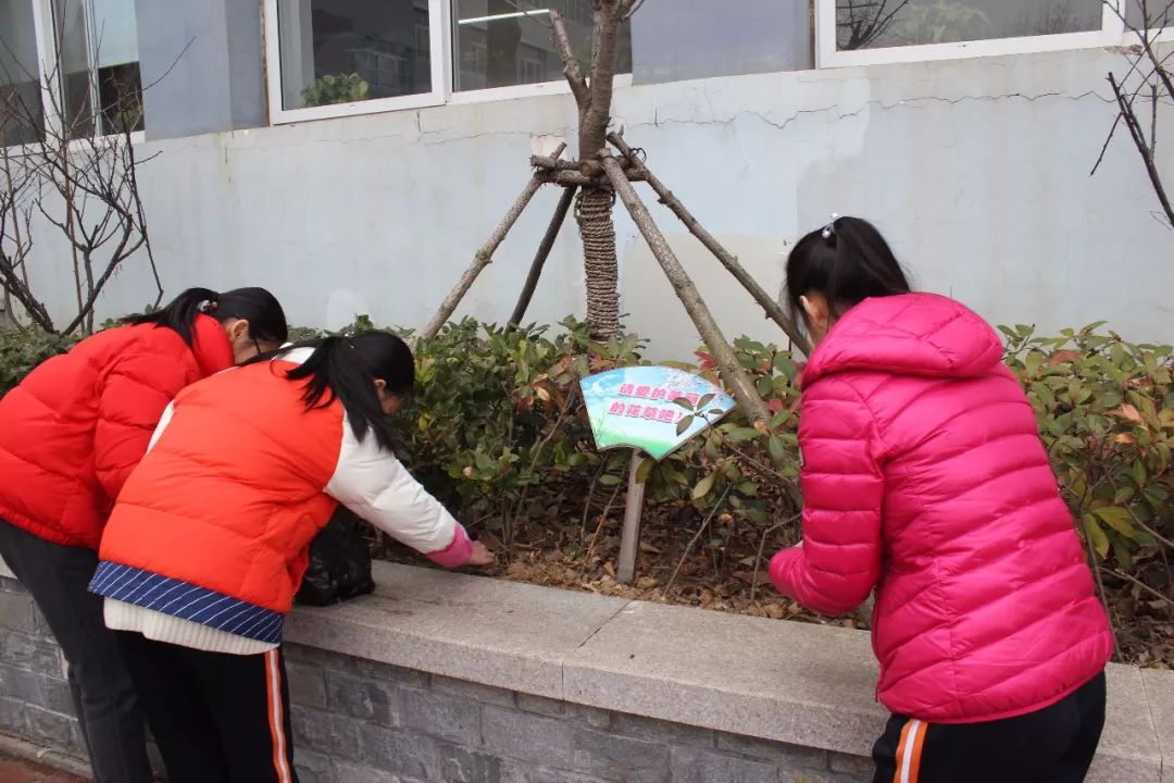 74青島崇德小學青島崇德小學培養隊員認識到愛護植物,在教室裡設立