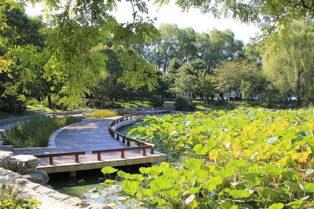 北京旅遊攻略,朝陽公園旅遊介紹