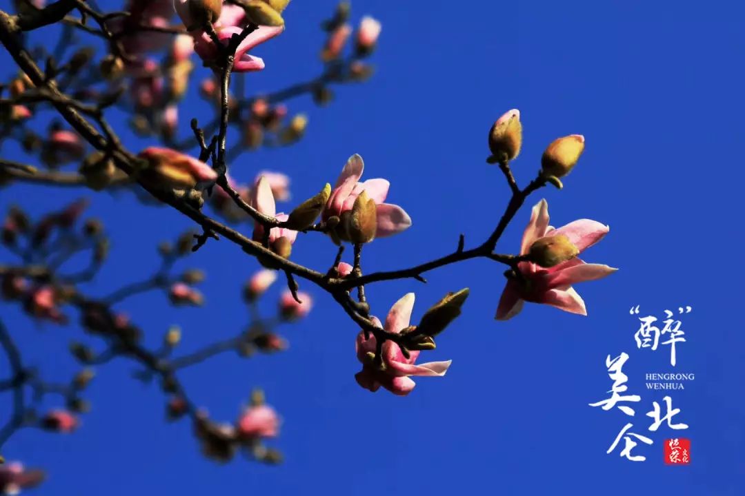 東方港城附近;中河茗苑附近;中河路;念慈園 ;里仁花園等