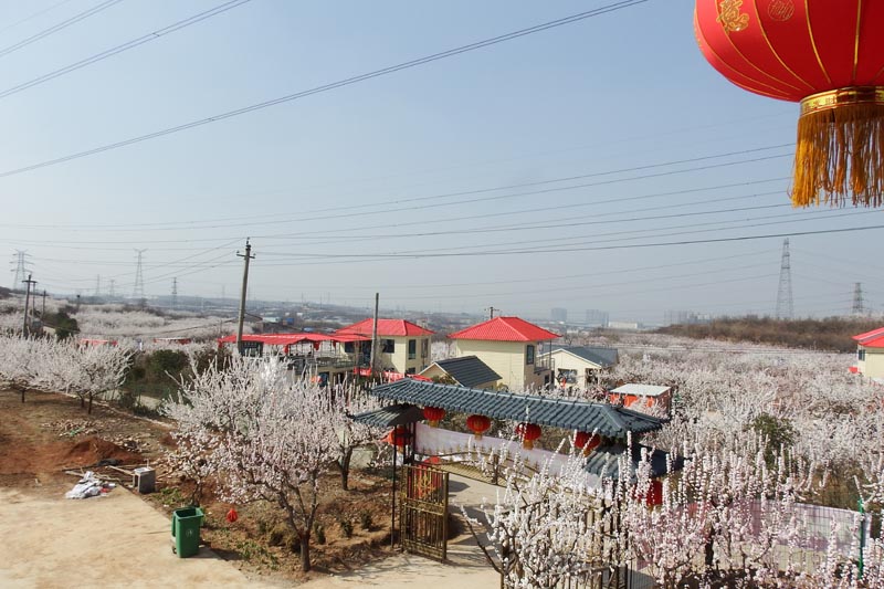 五龙沟村图片