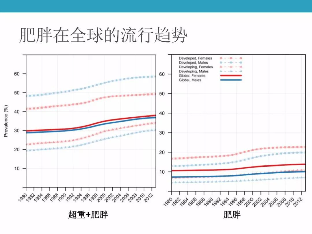 【课件】张霞(河北大学附属医院:肥胖相关性肾病