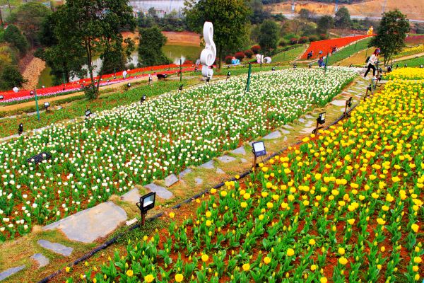 江西劃入了亞熱帶?來這個新餘亞熱帶植物園探個究竟!