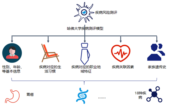 风险预测模型图片