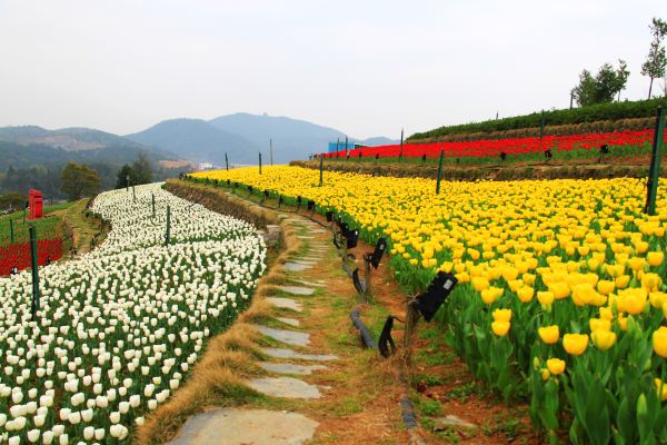 江西劃入了亞熱帶?來這個新餘亞熱帶植物園探個究竟!