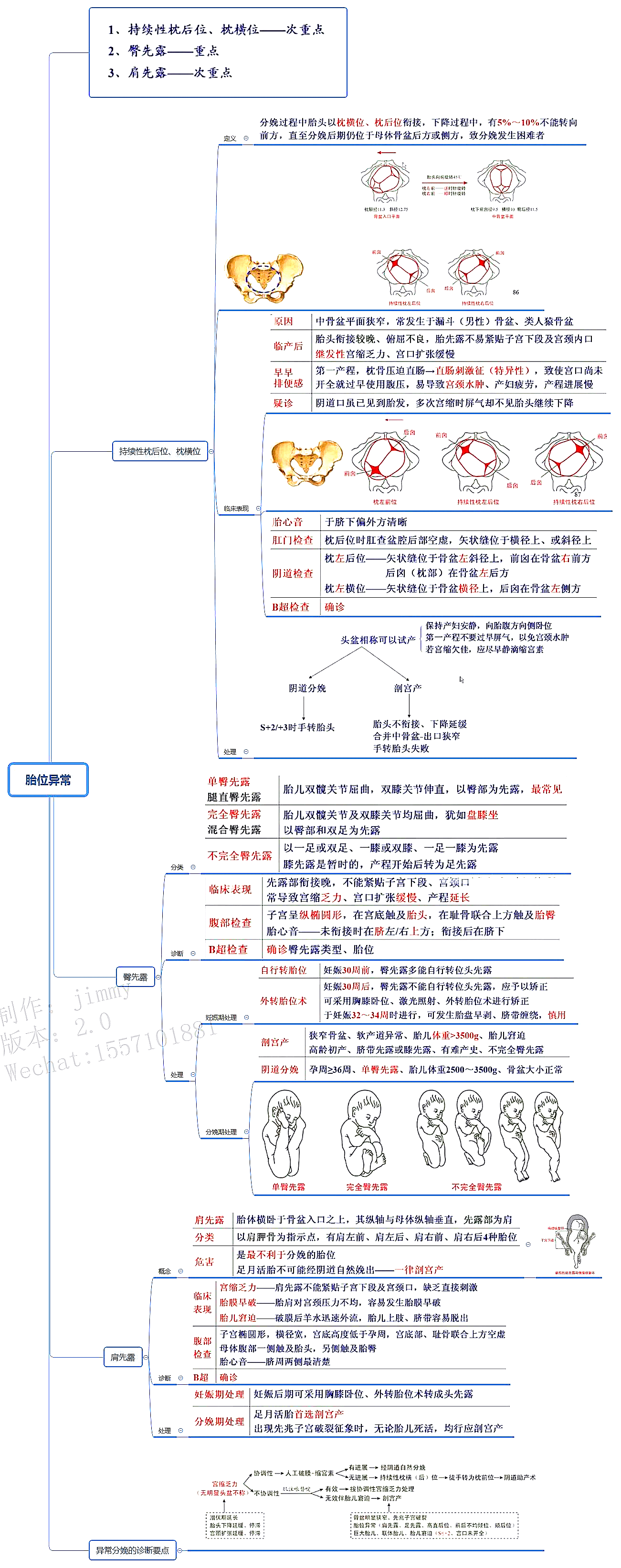 2018年最新考研/執業醫師考試思維導圖筆記婦產科學:胎位異常