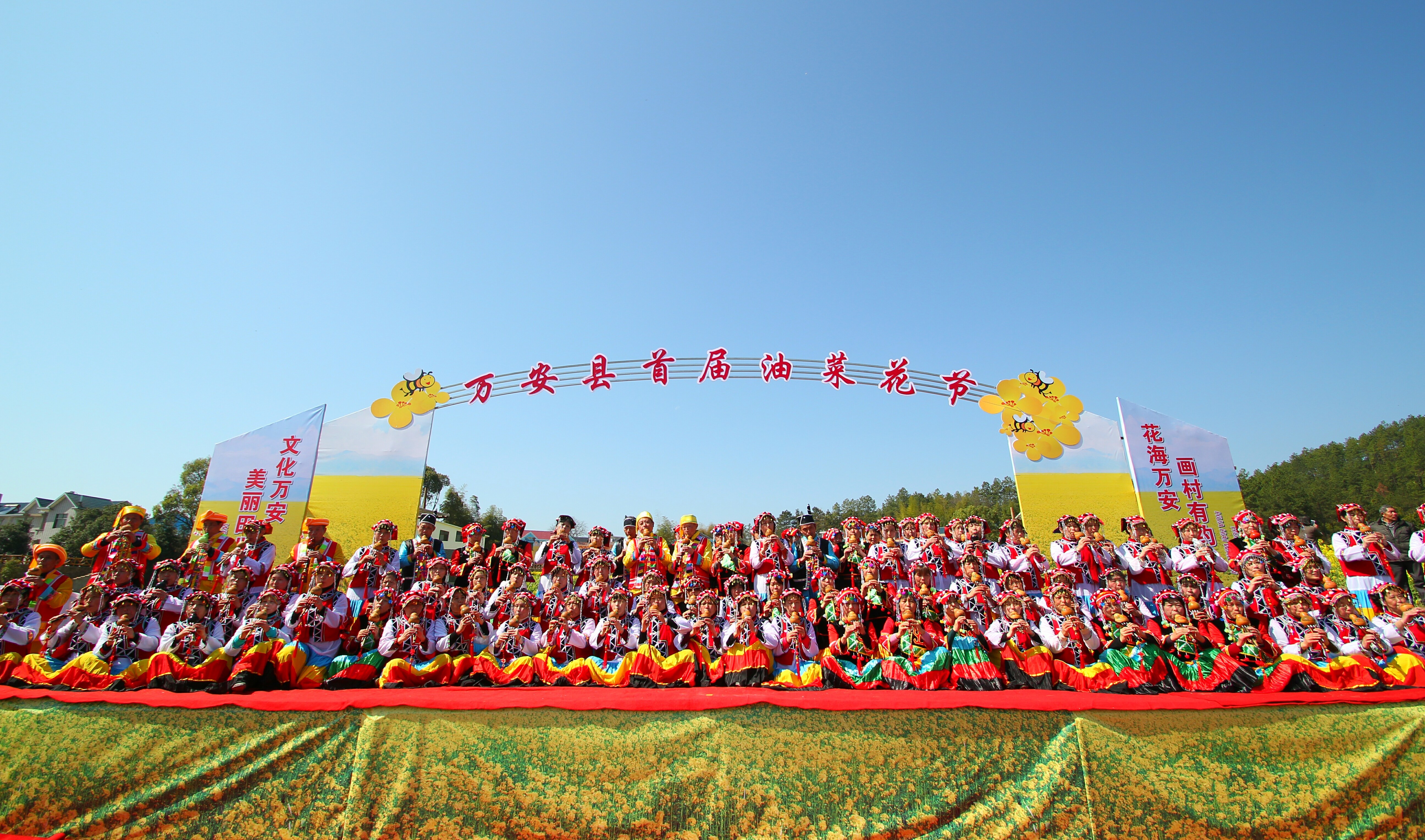 油菜花节主题图片