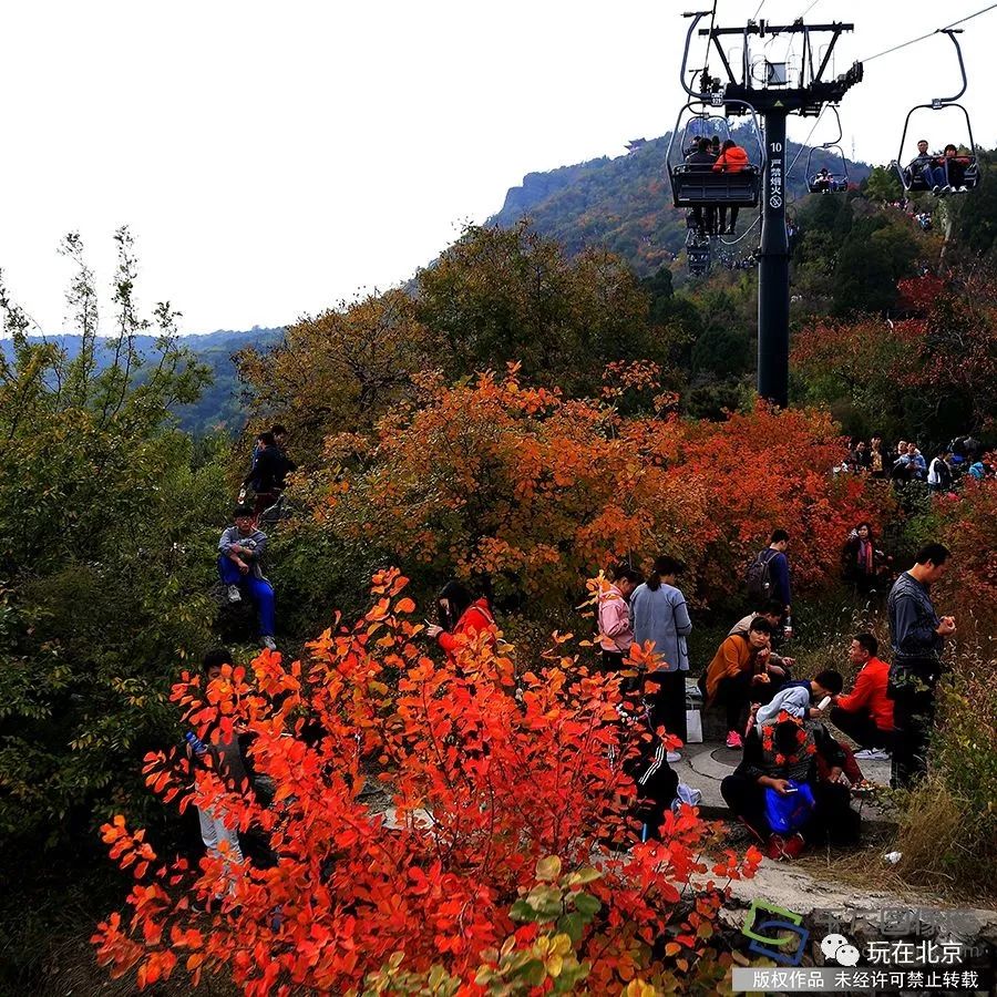 香山缆车摔死人图片