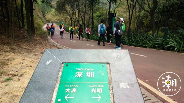 觀瀾茜坑綠道→大浪石凹水庫1,乘公交到