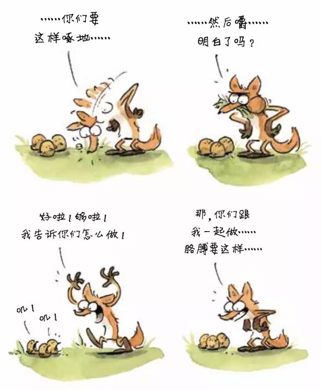 狐狸养鸡课文图片