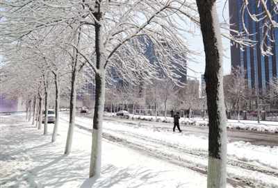 这是雪后沈阳街头(3月15日摄 3月15日,沈阳降落春雪.