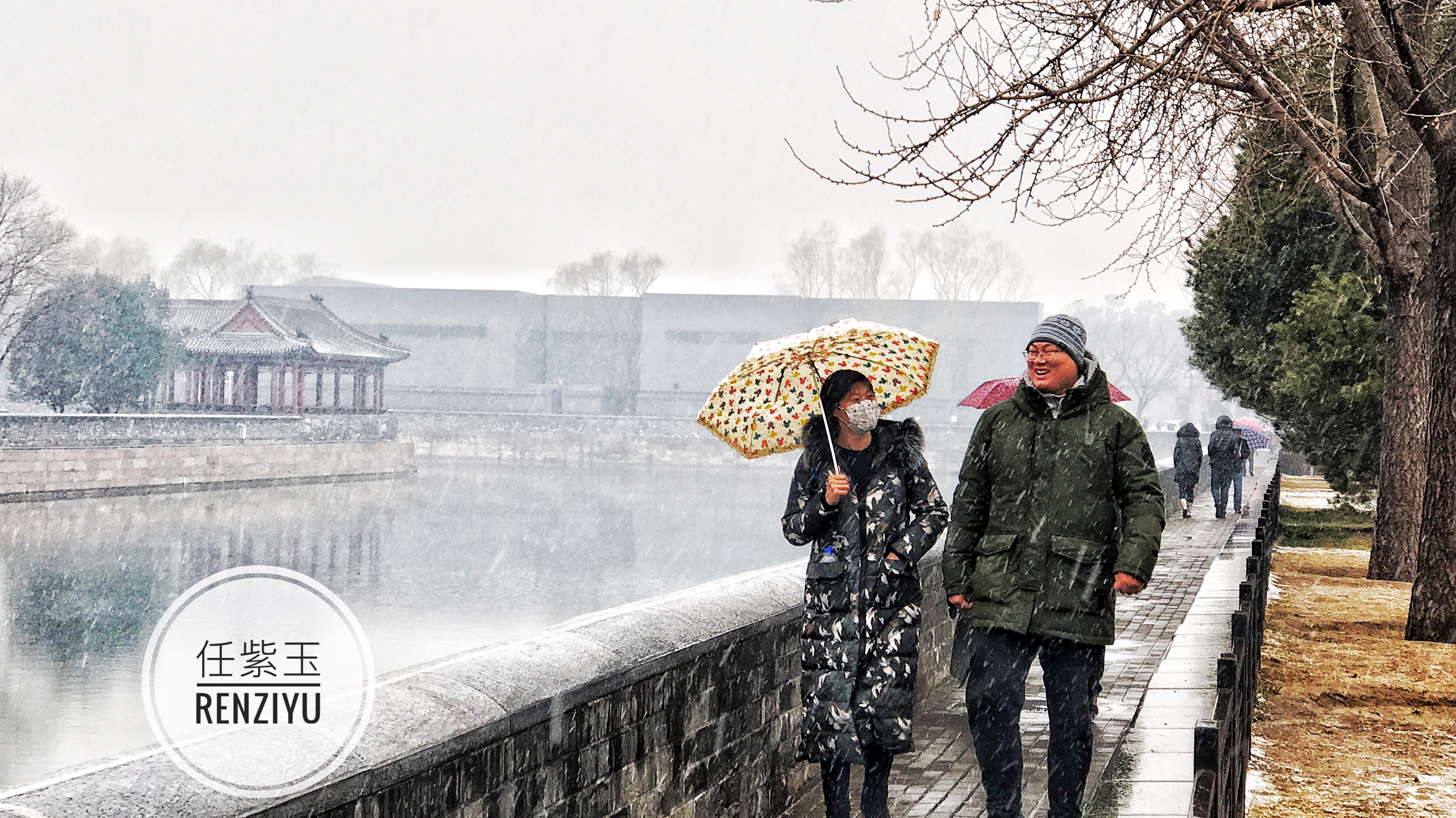 北京下雪 情侣们在故宫红墙拍下最美婚纱照