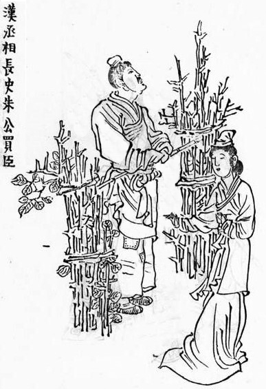 【读史札记】朱买臣:纵使你有马良神笔,我也照样有权利不喜欢只懂画